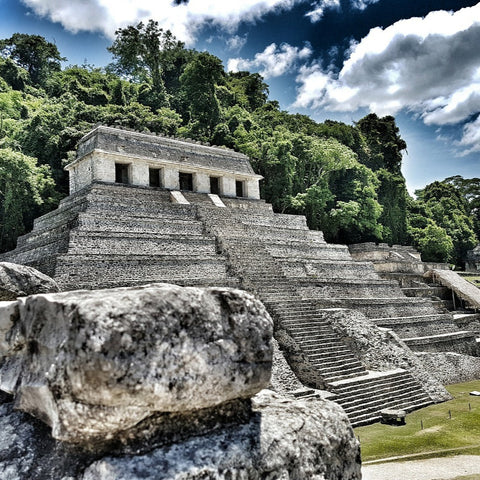 Café Mexique Décaféiné